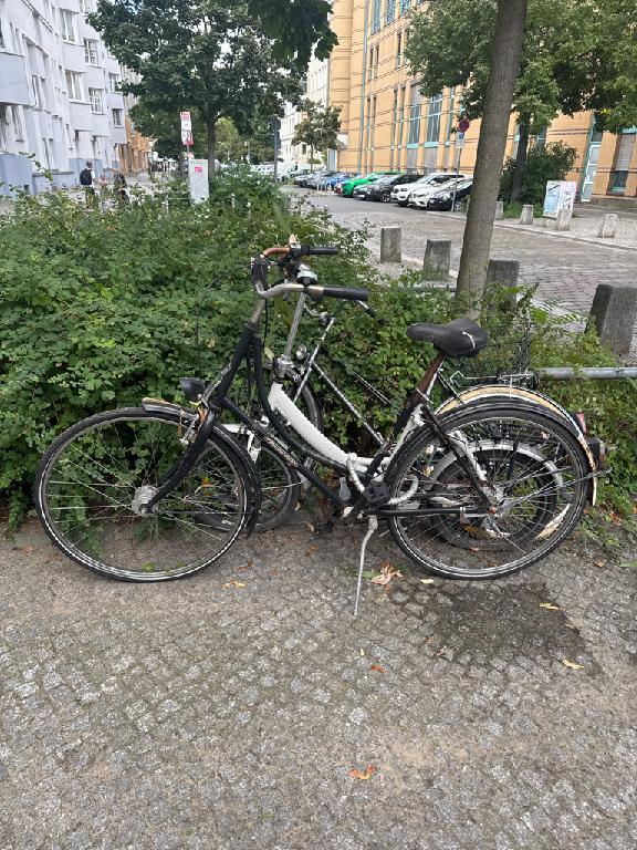 Foto zur Meldung: Abfall - Schrottfahrräder pr.