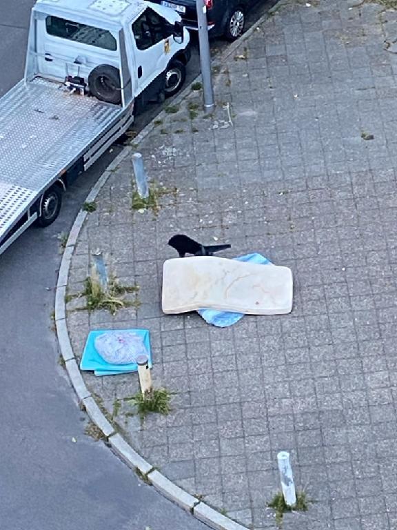 Foto zur Meldung: Abfall - Sperrmüll