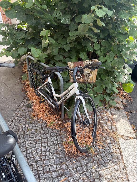Foto zur Meldung: Abfall - Schrottfahrräder pr.