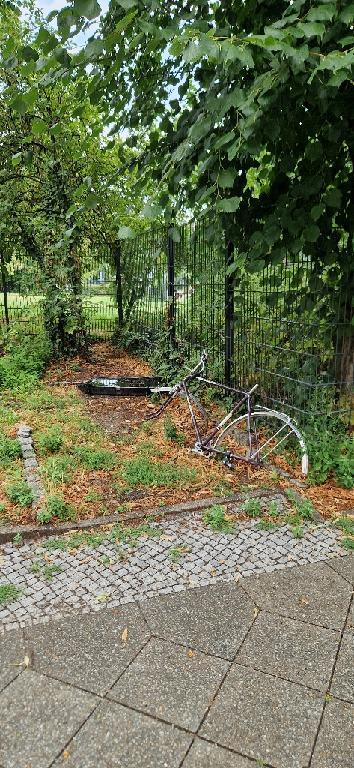 Foto zur Meldung: Abfall - Schrottfahrräder pr.