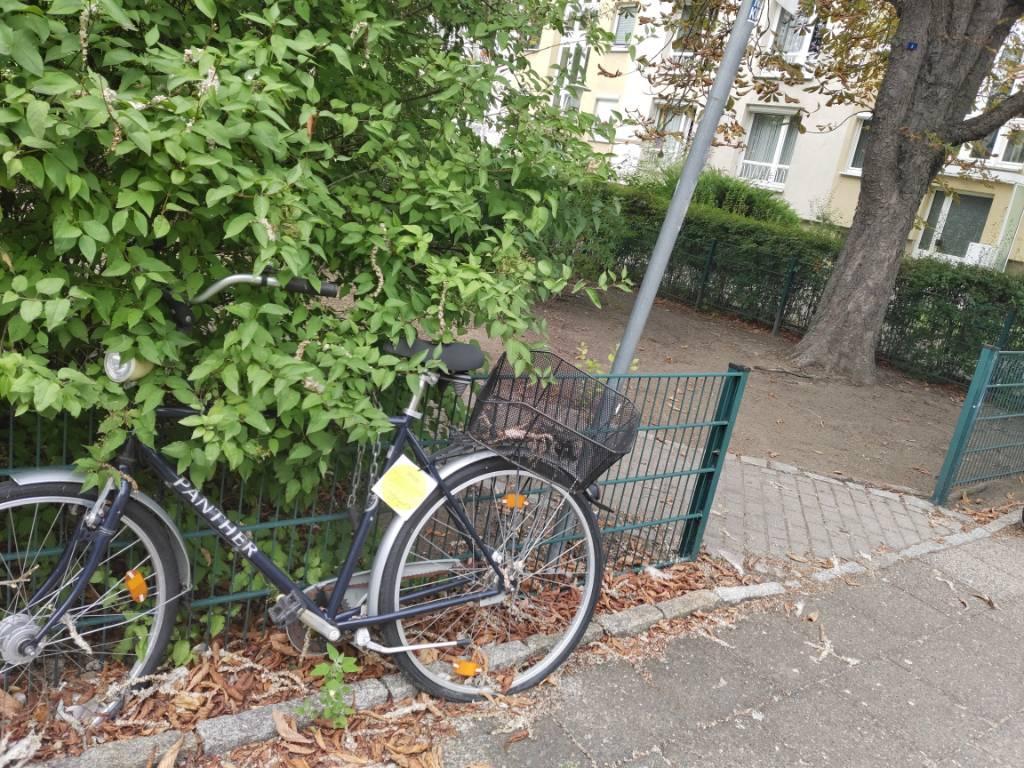 Foto zur Meldung: Abfall - Schrottfahrräder