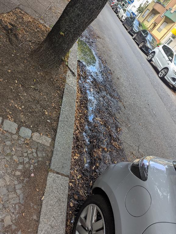 Foto zur Meldung: Regeneinläufe, Gully