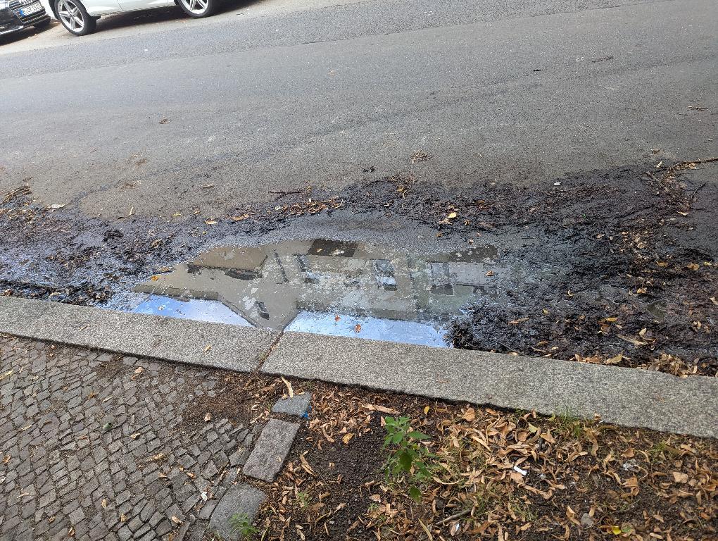 Foto zur Meldung: Regeneinläufe, Gully
