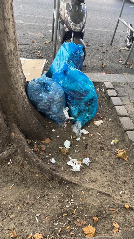 Foto zur Meldung: Abfall - Müllablagerung