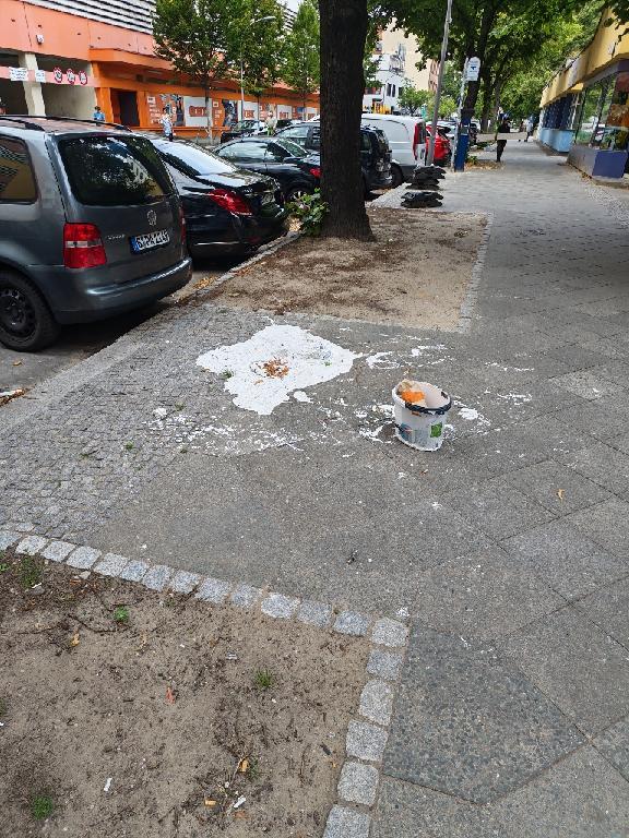 Foto zur Meldung: Straßenaufsicht - Mangelnde Straßenreinigung