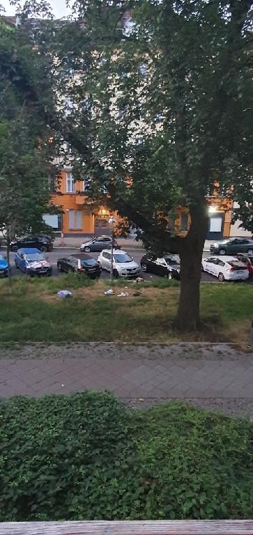 Foto zur Meldung: Abfall - Müllablagerung