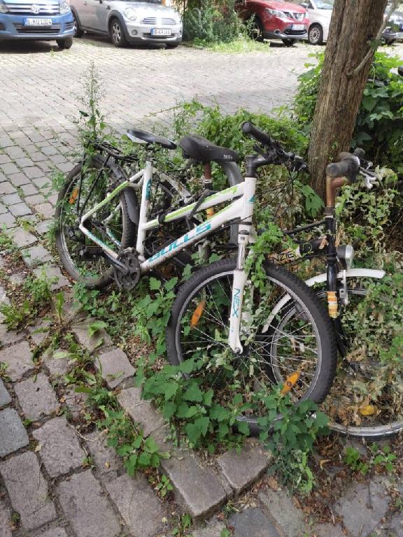 Foto zur Meldung: Abfall - Schrottfahrräder liste