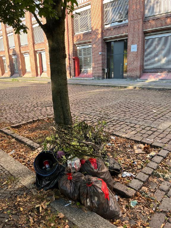 Foto zur Meldung: Abfall - Müllablagerung
