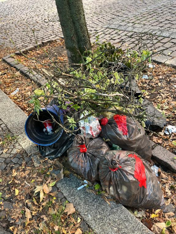 Foto zur Meldung: Abfall - Müllablagerung