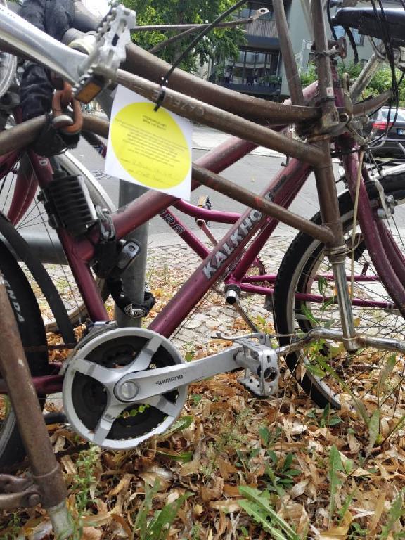 Foto zur Meldung: Abfall - Schrottfahrräder liste