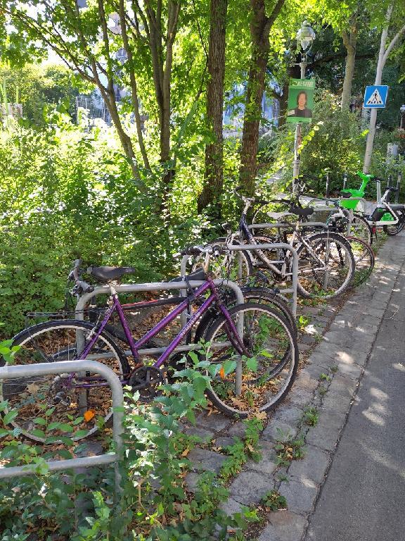 Foto zur Meldung: Abfall - Schrottfahrräder pr.