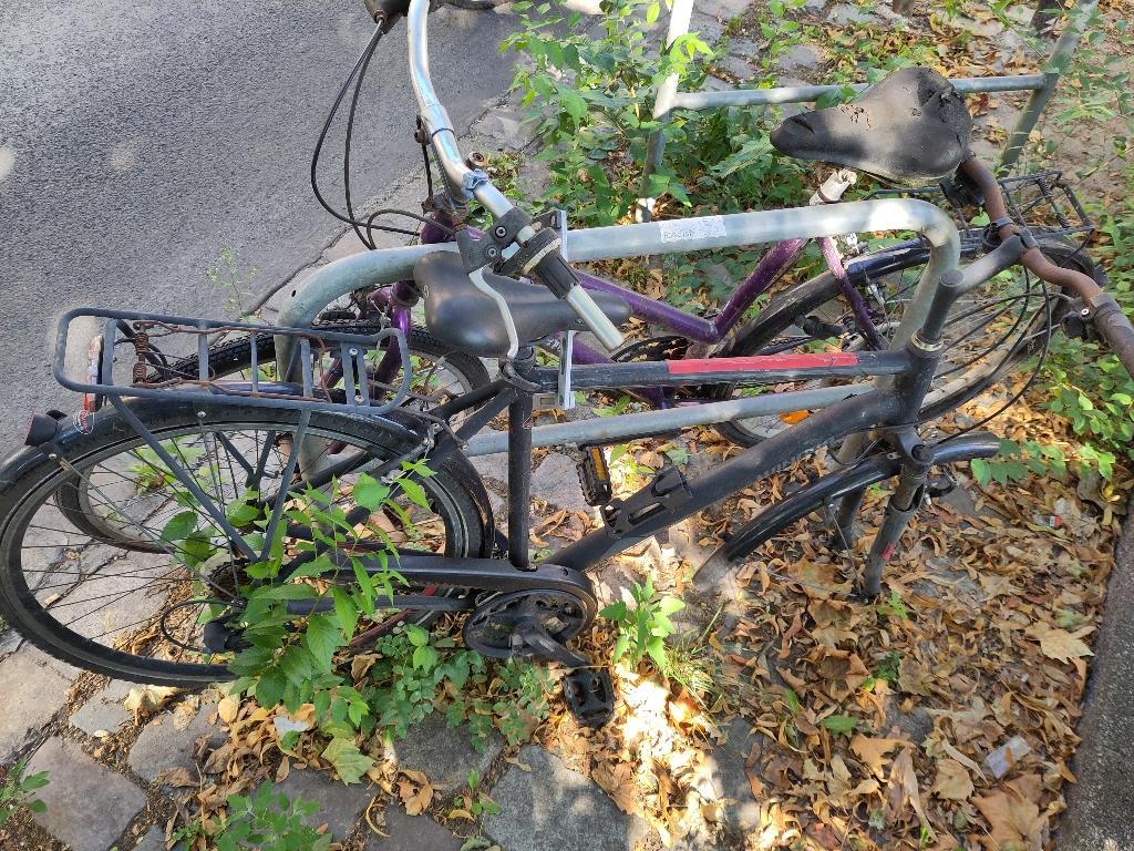 Foto zur Meldung: Abfall - Schrottfahrräder pr.