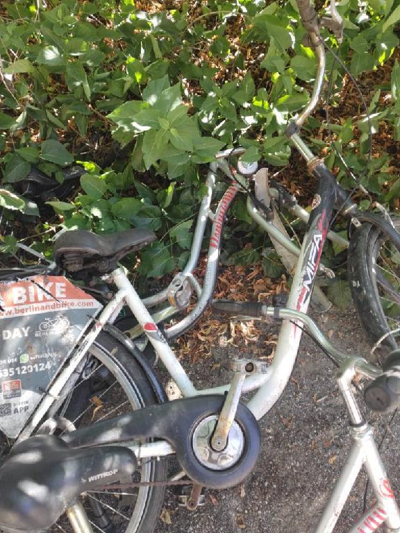 Foto zur Meldung: Abfall - Schrottfahrräder liste