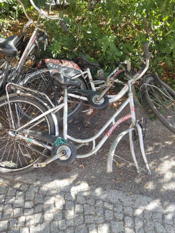 Foto zur Meldung: Abfall - Schrottfahrräder liste