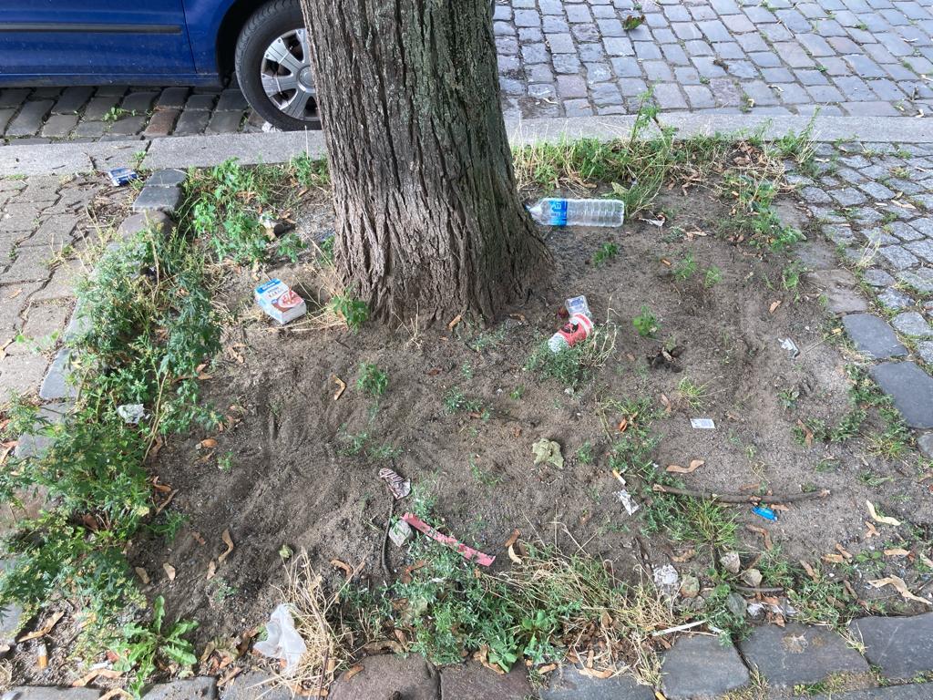 Foto zur Meldung: Abfall - Müllablagerung