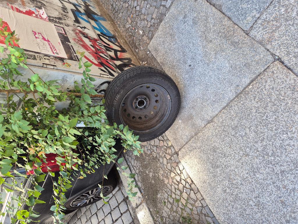 Foto zur Meldung: Abfall - Elektroschrott