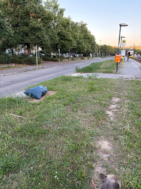 Foto zur Meldung: Abfall - Müllablagerung