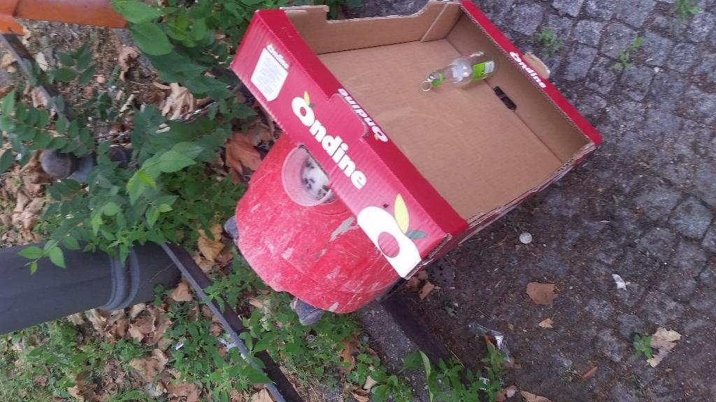 Foto zur Meldung: Abfall - Müllablagerung