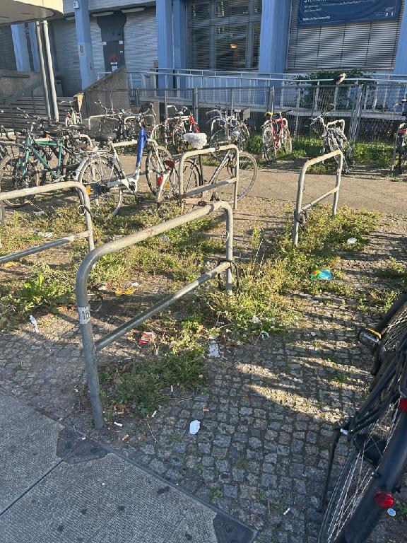 Foto zur Meldung: Straßenaufsicht - Mangelnde Straßenreinigung