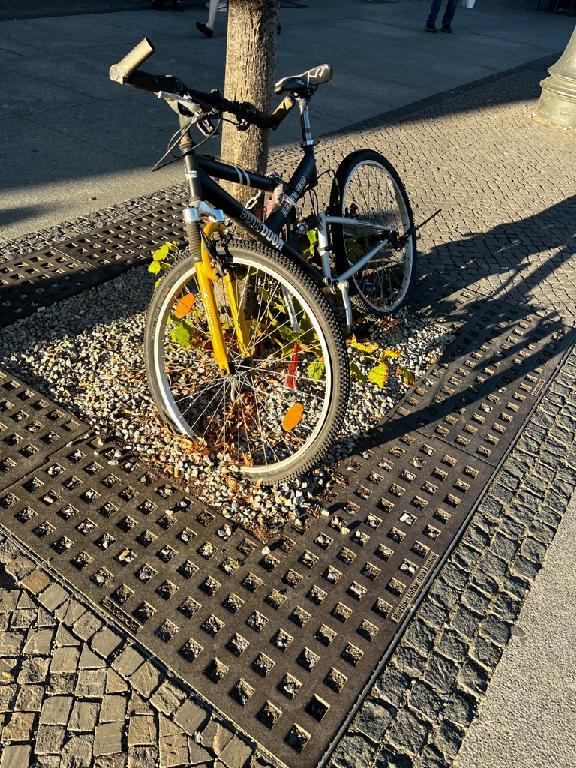 Foto zur Meldung: Abfall - Schrottfahrräder pr.