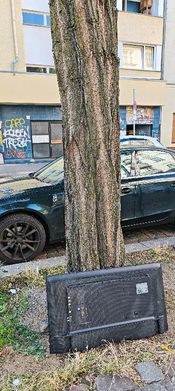 Foto zur Meldung: Abfall - Elektroschrott