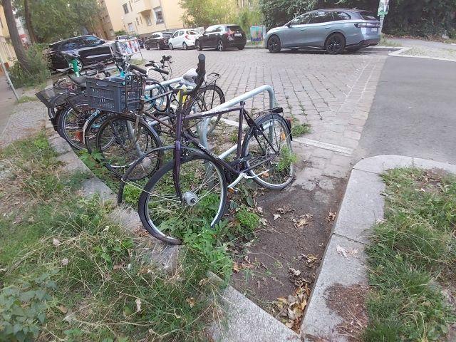 Foto zur Meldung: Abfall - Schrottfahrräder