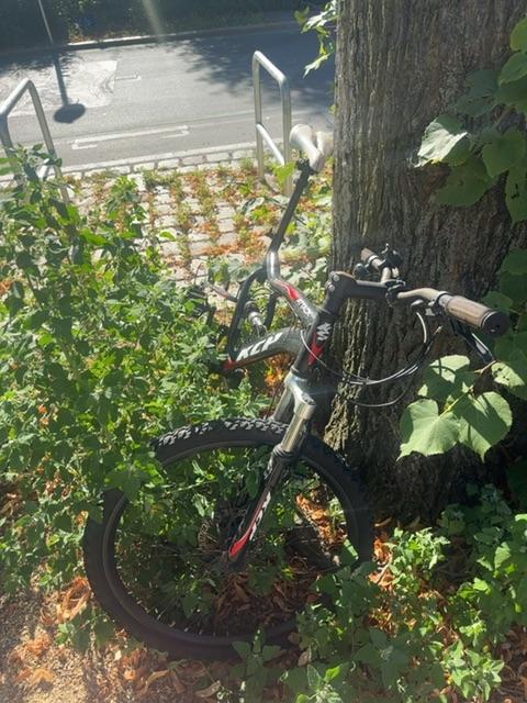 Foto zur Meldung: Abfall - Schrottfahrräder pr.