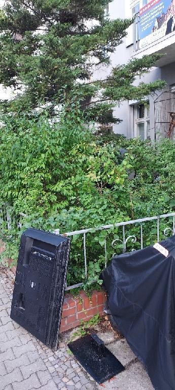 Foto zur Meldung: Abfall - Elektroschrott