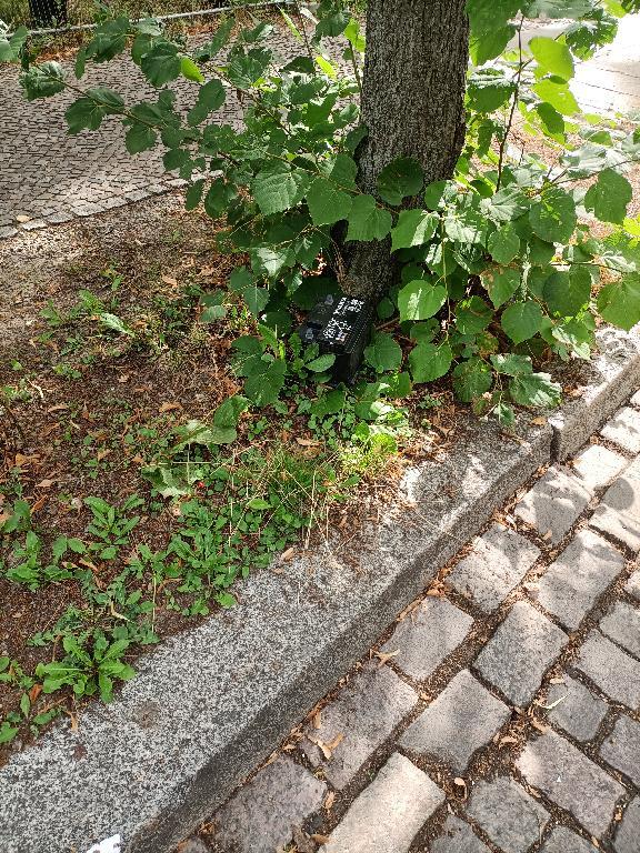 Foto zur Meldung: Abfall - Sonstiges