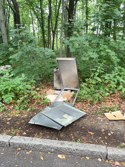 Foto zur Meldung: Abfall - Sperrmüll