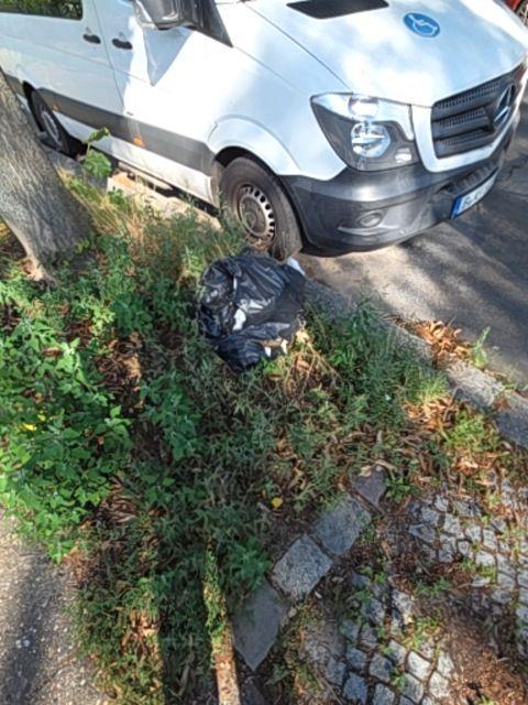 Foto zur Meldung: Abfall - Müllablagerung