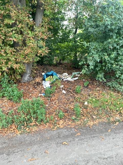 Foto zur Meldung: Abfall - Müllablagerung