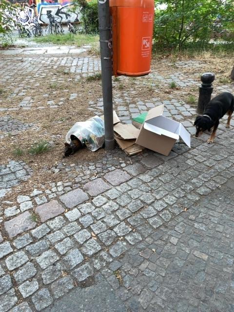 Foto zur Meldung: Abfall - Müllablagerung