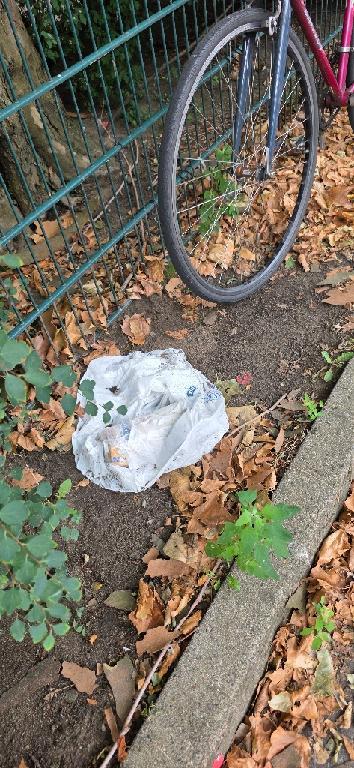Foto zur Meldung: Straßenaufsicht - Mangelnde Straßenreinigung