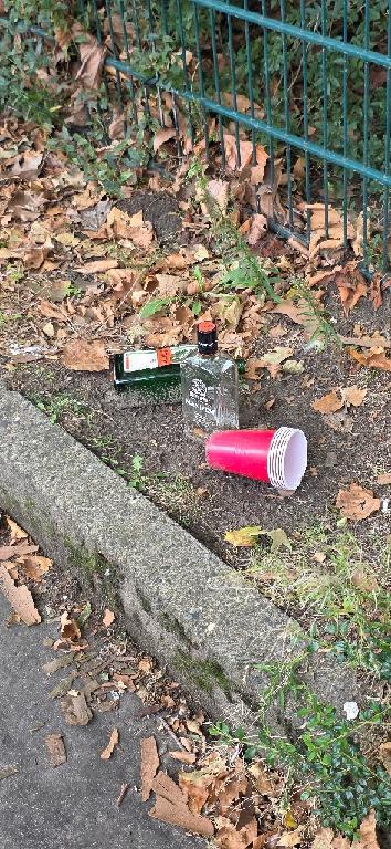 Foto zur Meldung: Straßenaufsicht - Mangelnde Straßenreinigung
