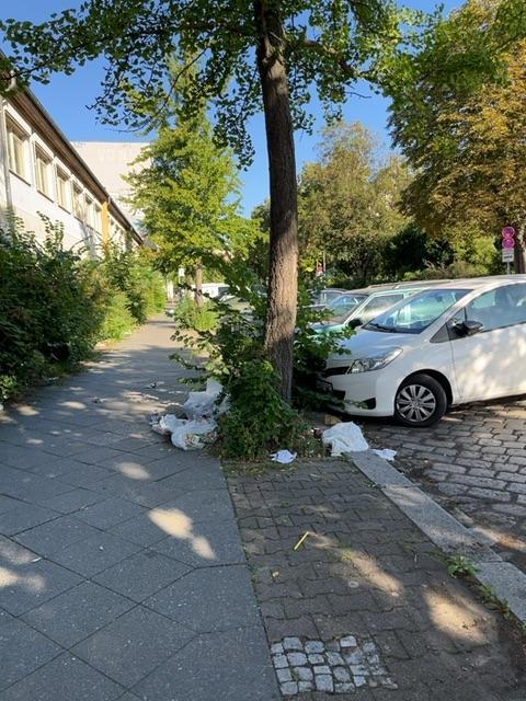 Foto zur Meldung: Abfall - Müllablagerung