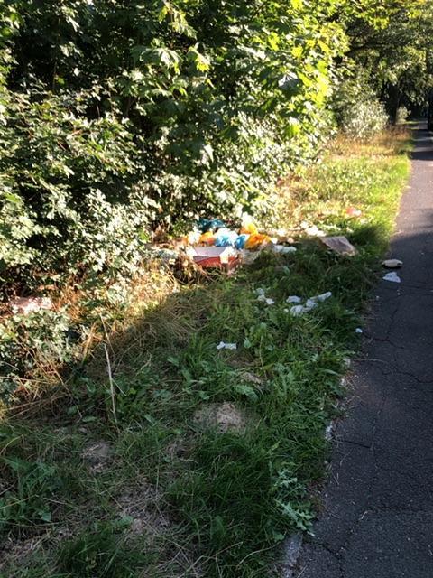 Foto zur Meldung: Abfall - Müllablagerung