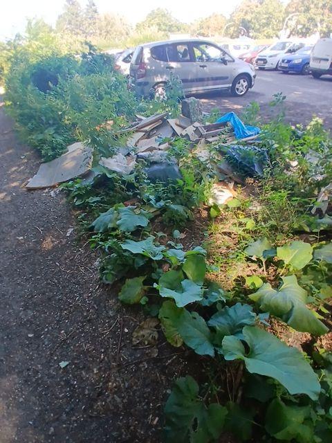 Foto zur Meldung: Abfall - Müllablagerung
