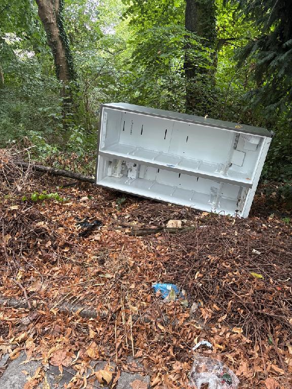 Foto zur Meldung: Abfall - Elektroschrott