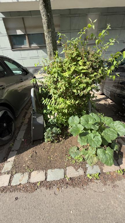 Foto zur Meldung: Abfall - Müllablagerung