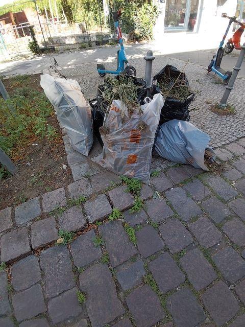 Foto zur Meldung: Abfall - Bioabfälle