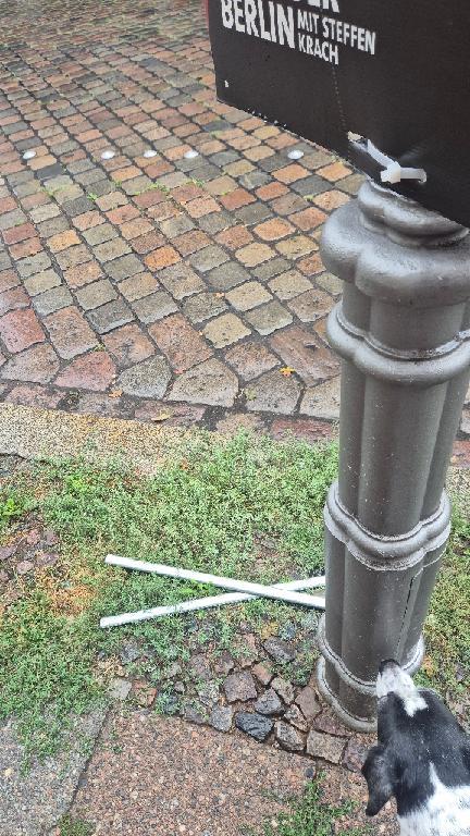 Foto zur Meldung: Abfall - Sperrmüll