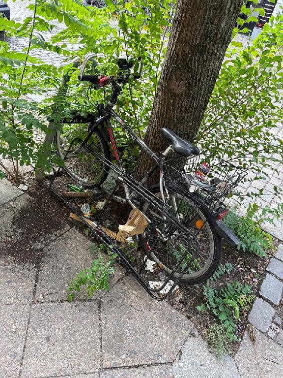 Foto zur Meldung: Abfall - Schrottfahrräder pr.