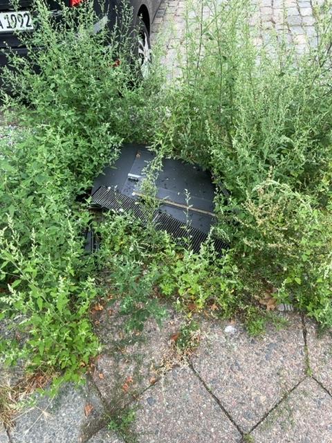 Foto zur Meldung: Abfall - Elektroschrott