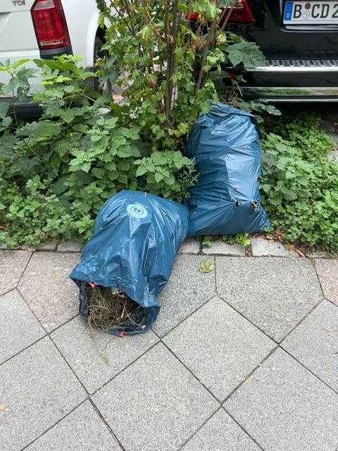 Foto zur Meldung: Abfall - Bioabfälle