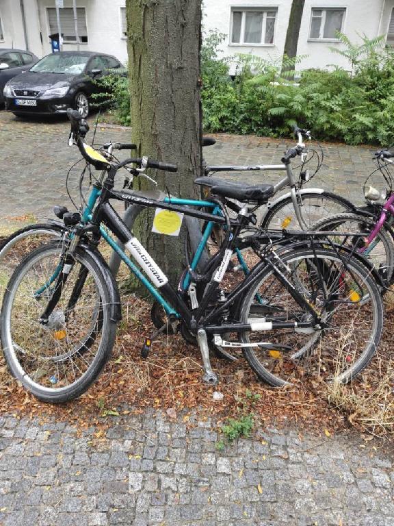 Foto zur Meldung: Abfall - Schrottfahrräder liste