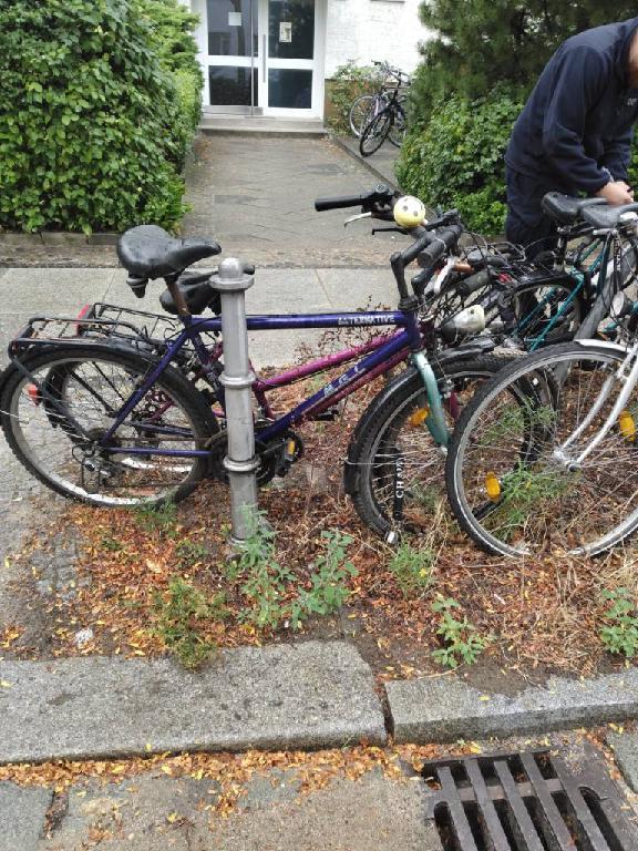 Foto zur Meldung: Abfall - Schrottfahrräder liste
