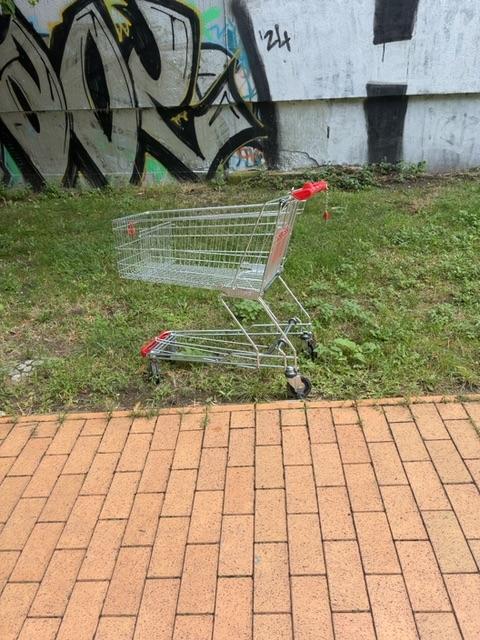 Foto zur Meldung: Abfall - Elektroschrott