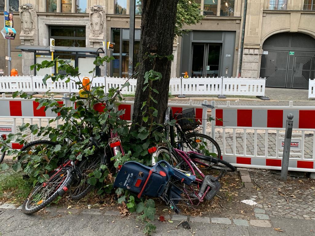Foto zur Meldung: Abfall - Schrottfahrräder Pr