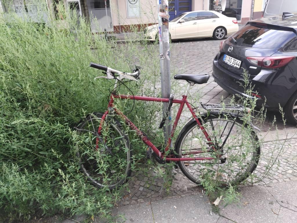 Foto zur Meldung: Abfall - Schrottfahrräder Liste